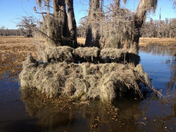 Gator Trax Boats - Gator Nest