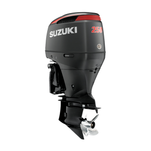 Suzuki DF250SS