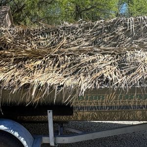 Gator Grass - Image 6