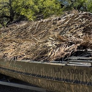 Gator Grass - Image 7