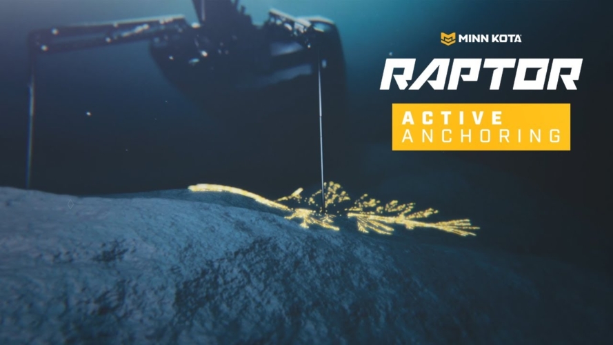 Raptor™ Shallow Water Anchors - Active Anchoring™ Raptor™ Shallow Water Anchors - Active Anchoring™